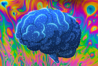 dmt-category